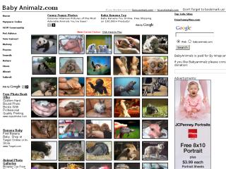 Babyanimalz thumbnail