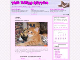 Dailykitten thumbnail