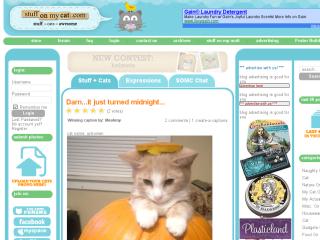 Stuff on my Cat thumbnail