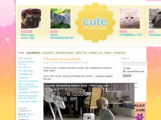 Cute Overload thumbnail