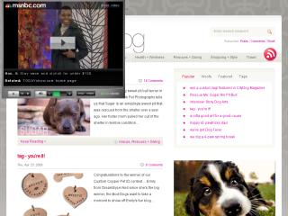 Mod-Dog Blog thumbnail